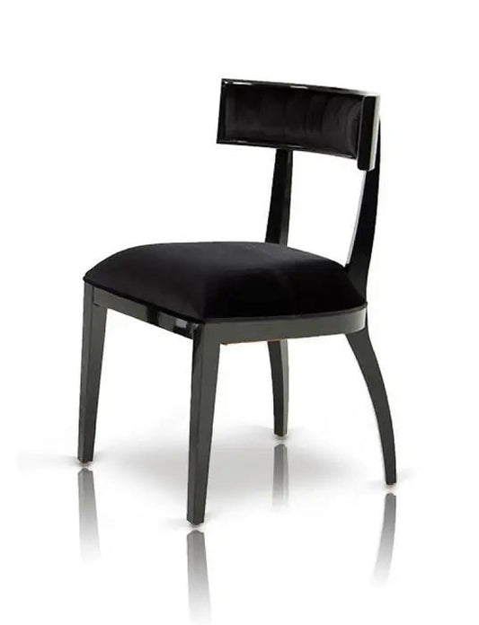 Alek Modern Black Dining Chair (Set Of 2) Vgunaa032
