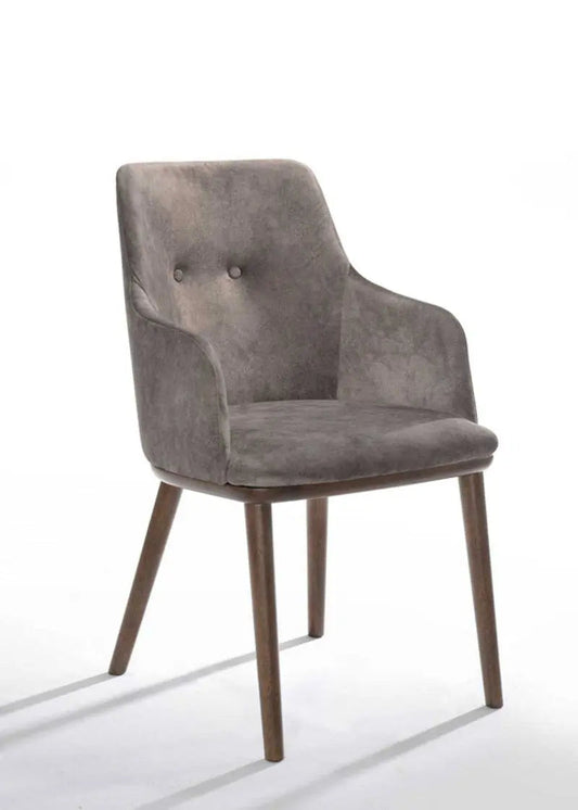 Modrest Theresa Modern Grey & Walnut Dining Chair (Set Of 2) Vgmami-775-Gry